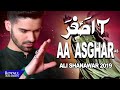 Ali Shanawar | Aa Asghar | 1441 / 2019