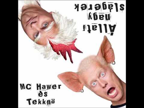 MC Hawer és Tekknő  - A Füredi Annabálon