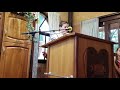 Amazing Midrash by Rabbi Shapira's Talmid out of Zion during his Bar Mitzvah