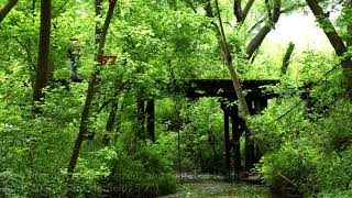 Hatman Shadowfigure Captured on Bridge