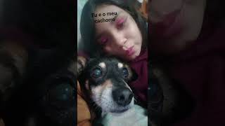Meu Cachorro Se Chama Saimon