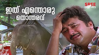 ഇത എനതര തനതരവ Pattabhishekam Jagathy Jayaram Indrans Comedy Scene