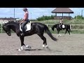 2013 Харьковский конный завод