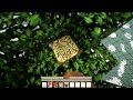 Minecraft: Upside Down World | D&D, Upside Down World, Part 1