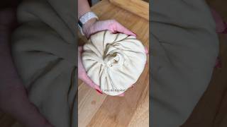 Giant Ramen Soup Dumpling Day 19.7530