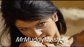 Watch Rolling Stones Fancyman Blues video
