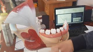 Sindirim Sistemi 2