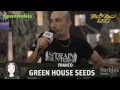 Green House Seeds @ Spannabis 2013 In Barcelona Spain