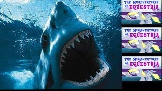 Flying Shark Versus Misadventure Of Equestria