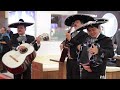 Discover the benefits of exhibiting at World Travel Market