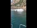Гидроцикл BRP Sea-Doo GTI 130 л. с, 2006 года, 340 мото часо. В наличии в Севастополе