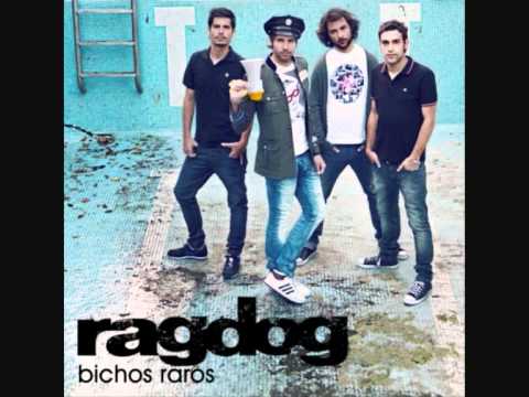 Bichos Raros Video