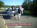 Horse Drawn Carriage -- Prom Carriage -- Cinderella Carriage 11a -- Carriage Limousine Service