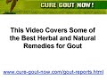 The Top Herbal Remedies For Gout – Herbs For Gout