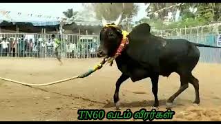 Theni Kottur
