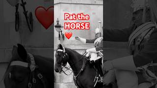 Pat The Horse