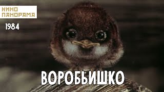 Воробьишко (1984 Год) Мультфильм