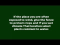 Design Home Gardens | design home gardens concept tips