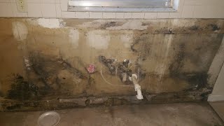 Black Mold Inspection-Testing Temple Terrace FL 813-358-4766 TampabayMold.net
