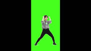 Lee Know Back Door Green Screen Fancam Stray Kids