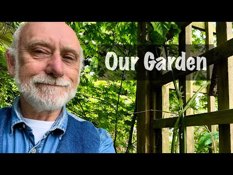 Recent Ukulele Videos