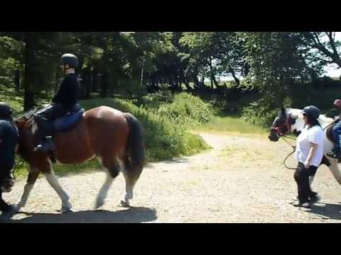 The group riding down the lane