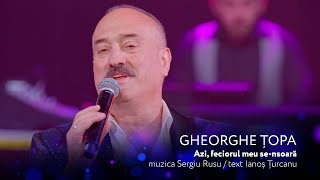 Gheorghe Topa - Azi Feciorul Meu Se-Nsoara [Concert Aniversar 60 Ani✨Dulce Și Amar✨]