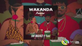 Watch Sho Madjozi Wakanda Forever feat Ycee video