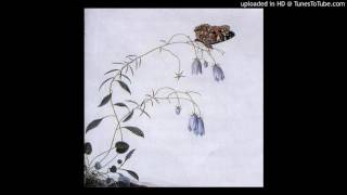 Watch Botanist Clematopsis video