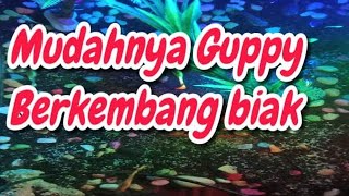 Biak