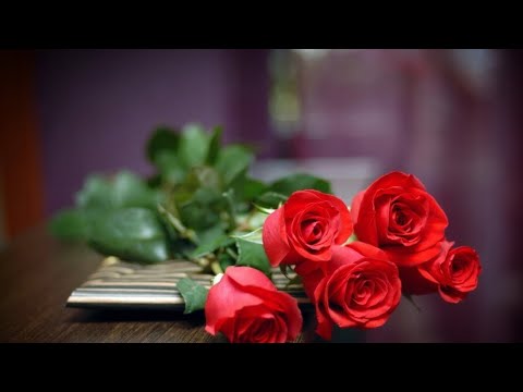 Video Nhạc Trữ Tình Cát Bụi