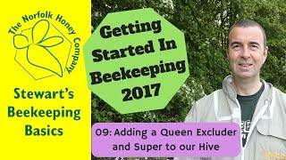 Adding a Queen Excluder and Super, Finding Brace Comb & adding a frame.