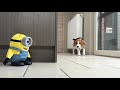 Dogs Vs Minion Prank : Funny Dogs Louie and Marie Ep8