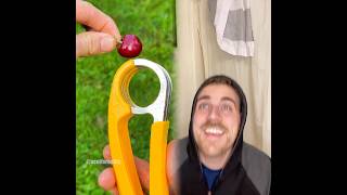 Pov. When A Toddler Learns To Use The Bathroom.