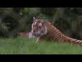 Marwell Zoo, Winchester - A Kids' Day Out In Hampshire