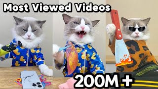 Puff's Top Viral Hits: A Journey Through Fame! 🌟🐾