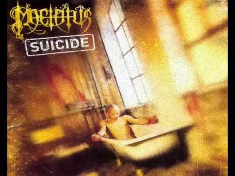 Language Of Disloyalty Video