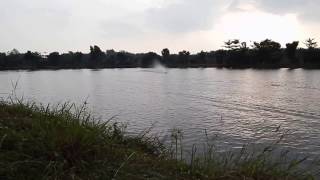cpkat carbon by rc boat racing Indonesia