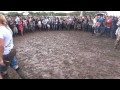 creamfields