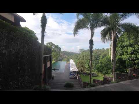 Infinity pool Bali, Alila Ubud Hotel & Spa