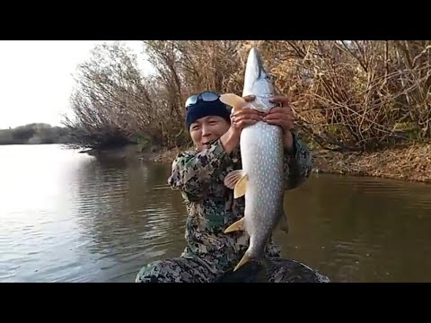 видео рыбалка сетями казахстан видео рыбалка сетями казахстан