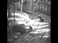 Burzum - Hvis Lyset Tar Oss (Full Album)