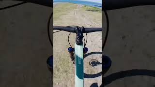 Pivot Trailcat Lt 2025 Shred Test Downhill Speed Cycles
