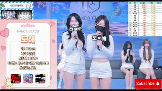 Korean Panda Live Kbj