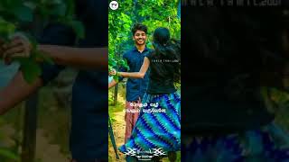 Simbu Silambattam Macha Macha Un Mela Aasai Vachen Tamil Love Full Status Thala Tamil 2001
