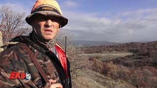 Çorum Domuz Avı Ekip İşi 14.Bölüm Yaban Tv Wild Boar Hunting
