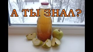 Домашний ЯБЛОЧНЫЙ УКСУС: готовит муж Домашний ЯБЛОЧНЫЙ УКСУС: готовит муж
