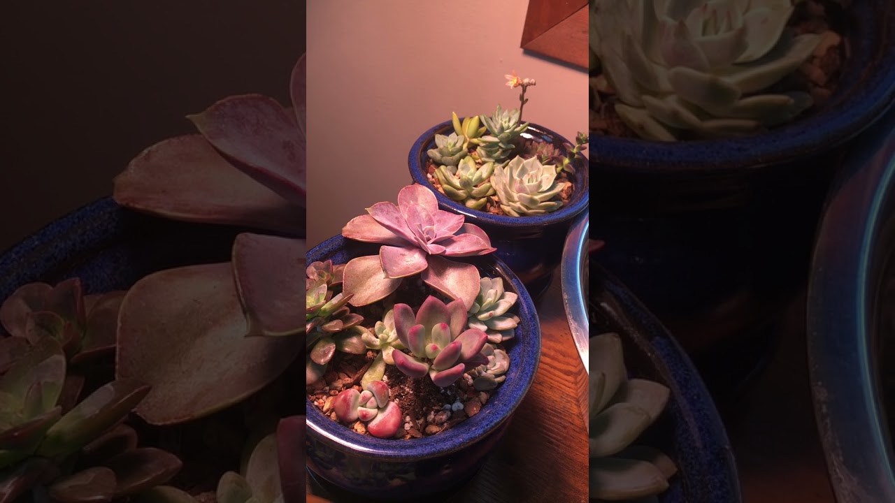 "Small investment, Great gain!!"- Testimonial