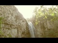 "Chapter Of The Forest"