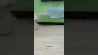 Bütün Dünyayı Alatan Video